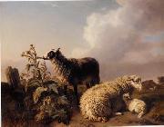 unknow artist Sheep 082 oil painting reproduction